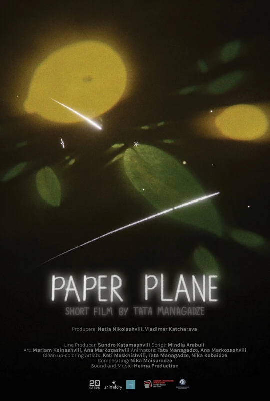 Paper Plane poster