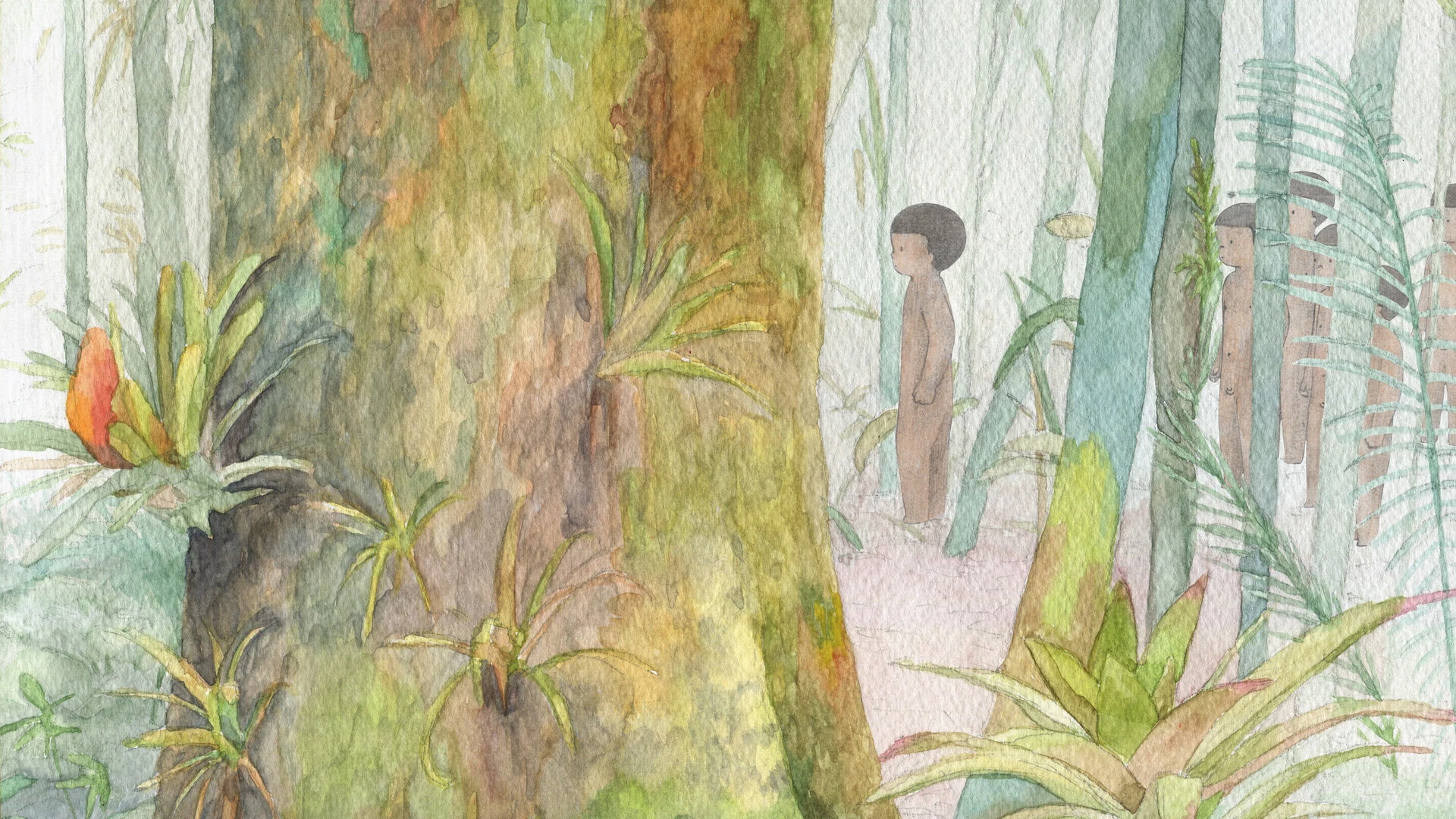 Rose Rash still 6
