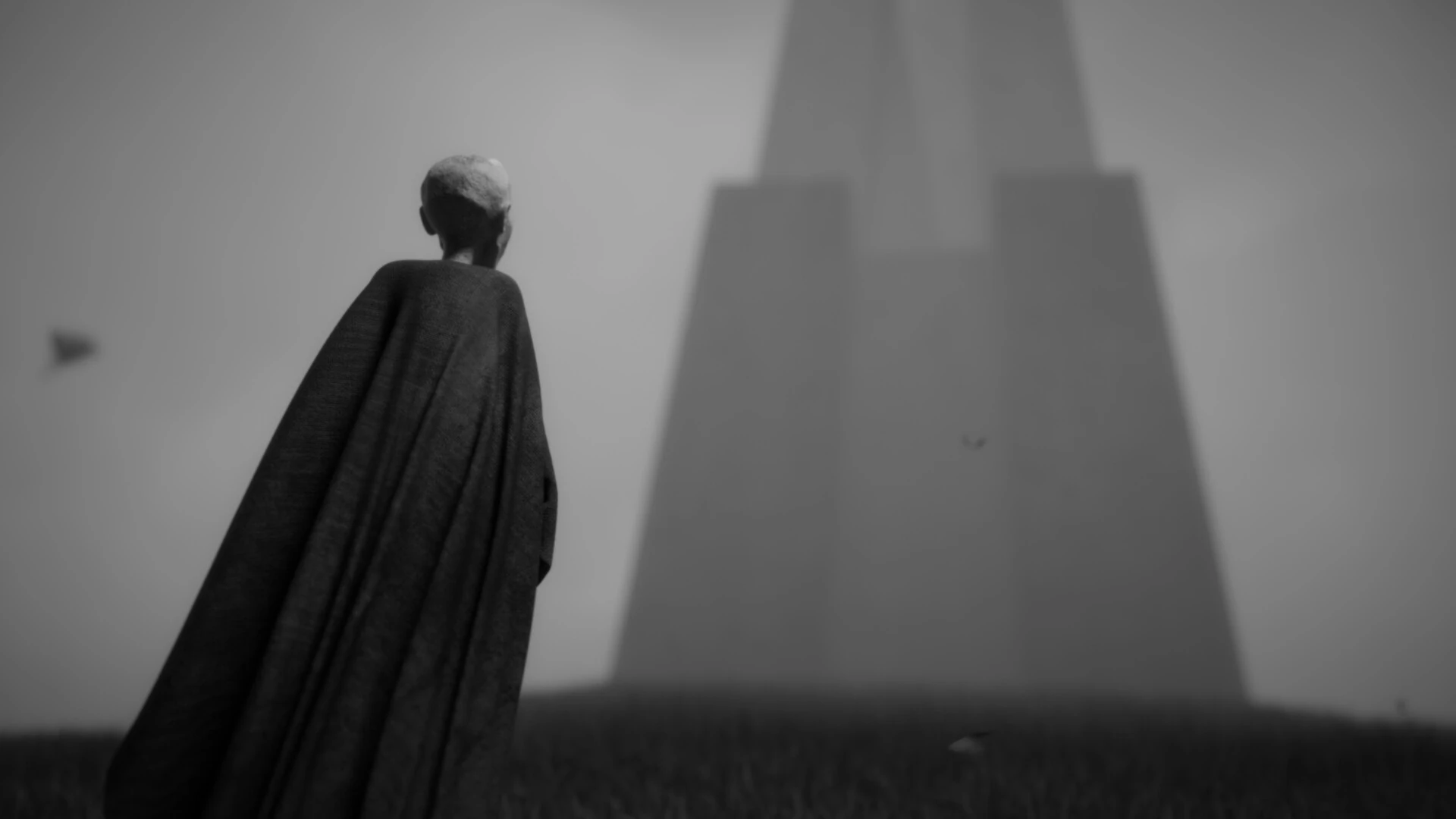 Anthill still 1