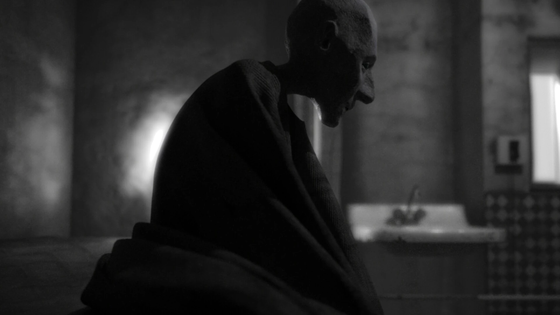 Anthill still 2