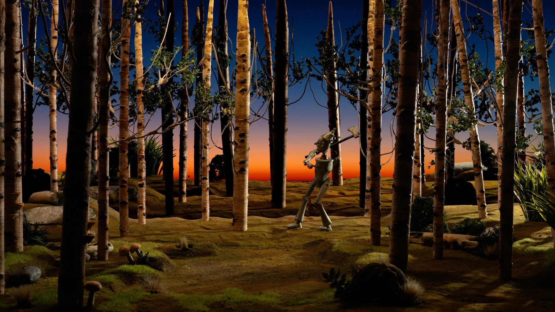 The Tin Woods still 5