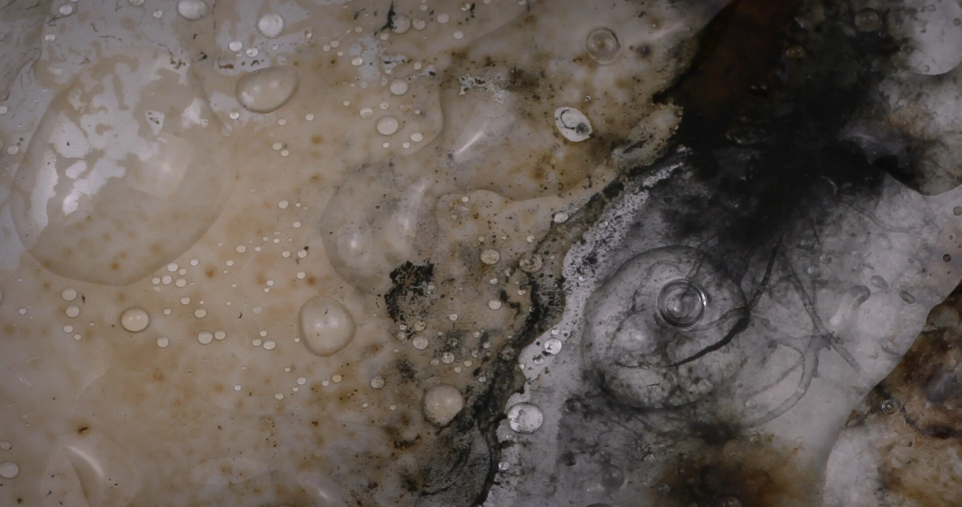Entropic Memory still 2