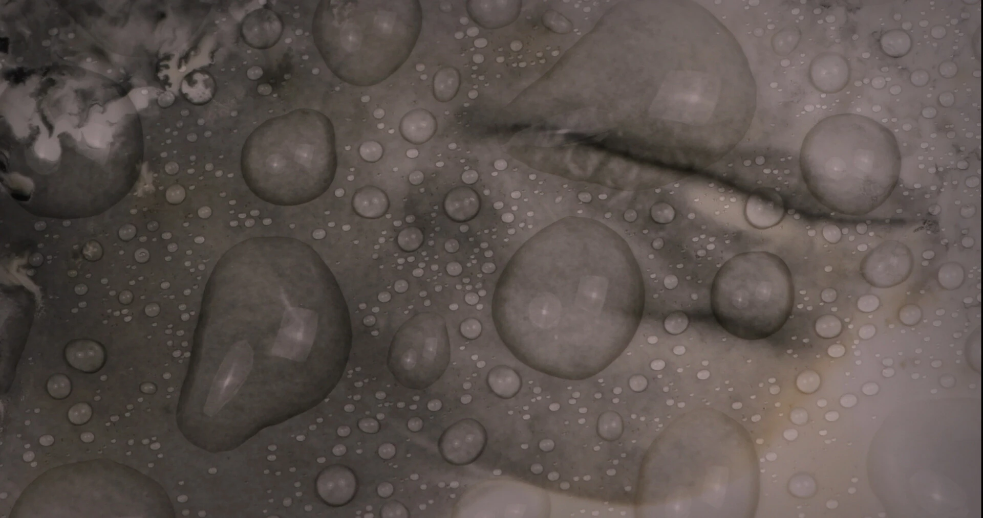 Entropic Memory still 5