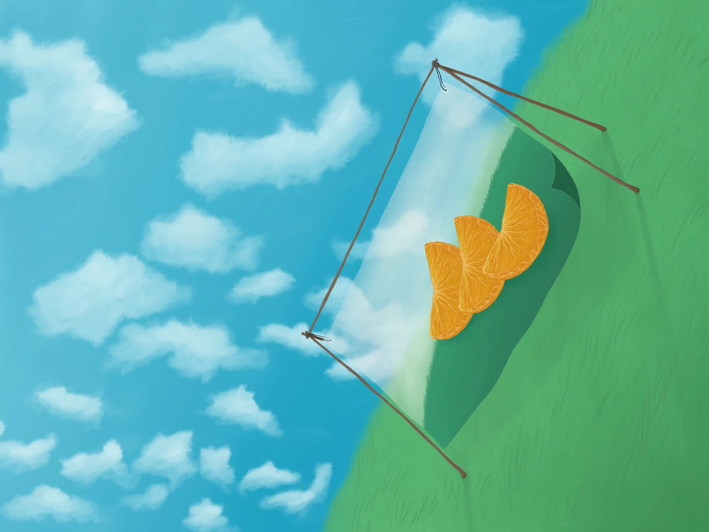 Peel the dimensions still 9
