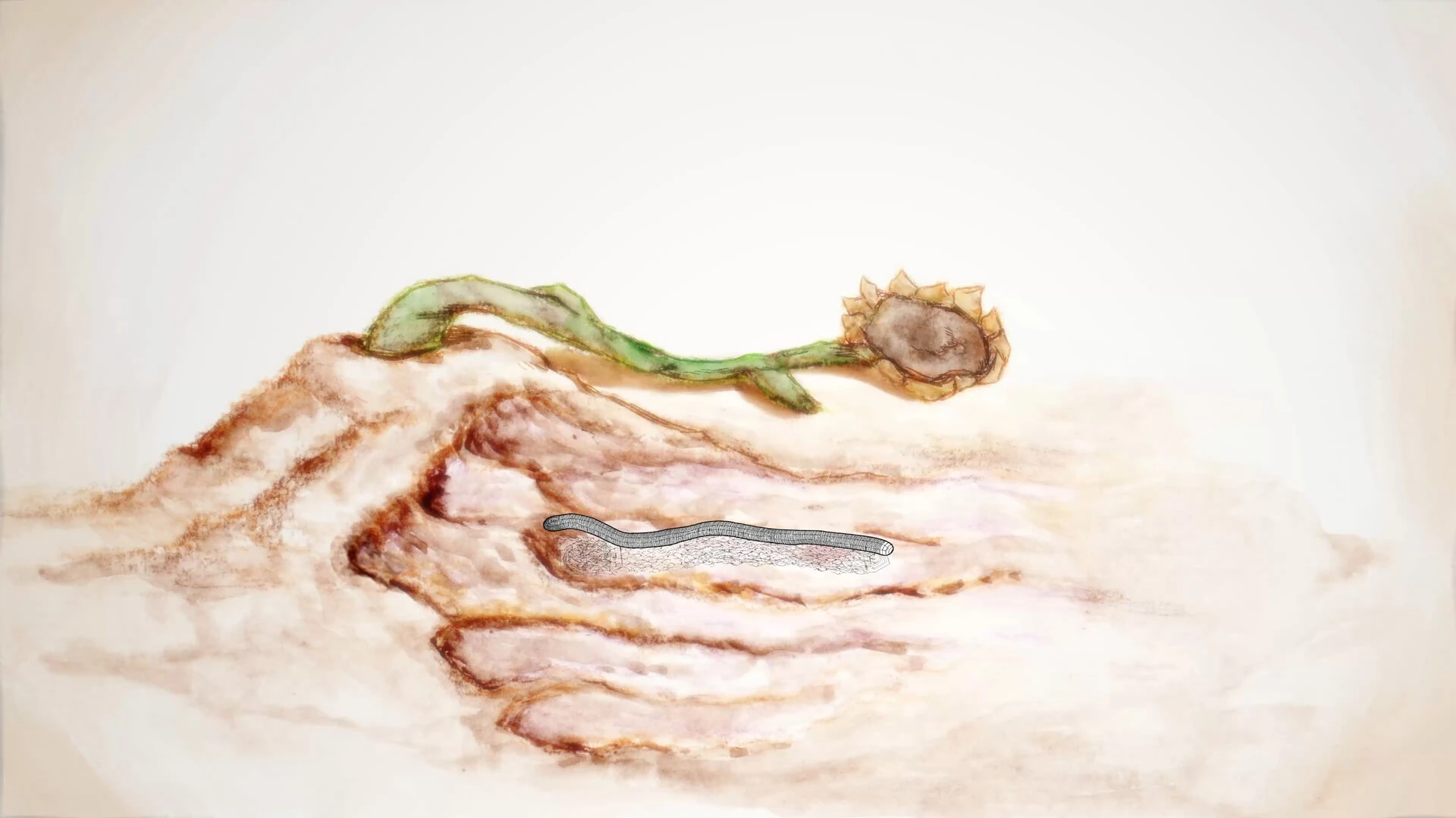 i killed a worm still 2