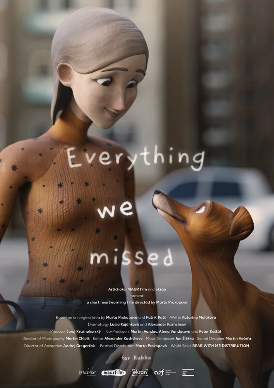 Everything we missed poster