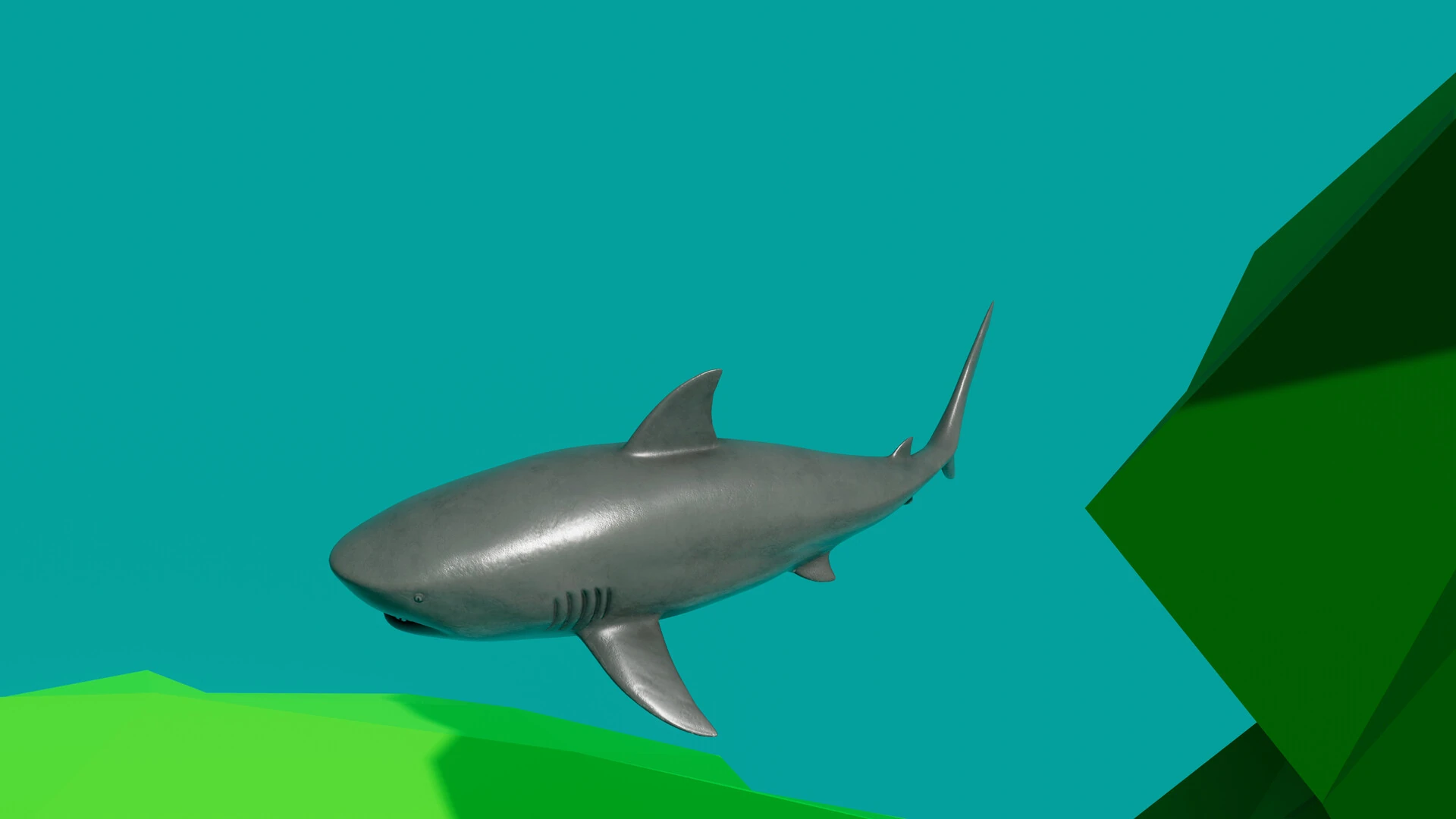 Friends and a shark still 5
