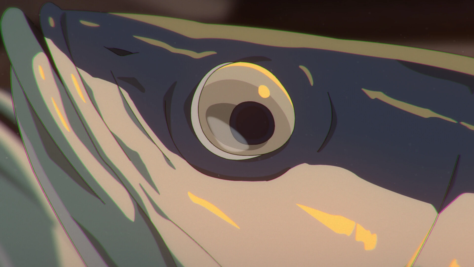 SAKANA still 4